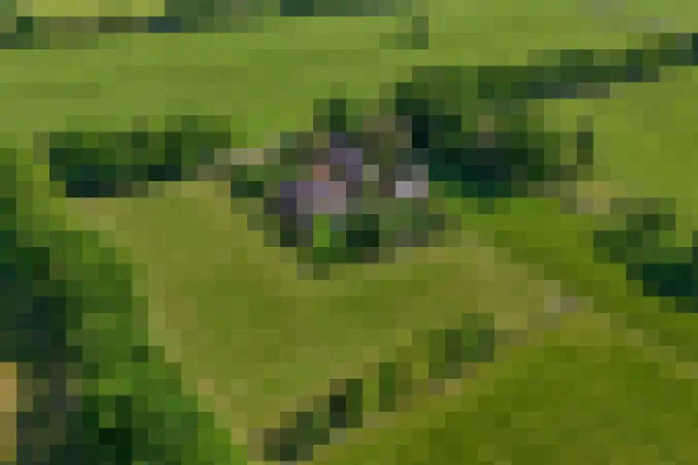 Postweg 133 Lunteren foto 2