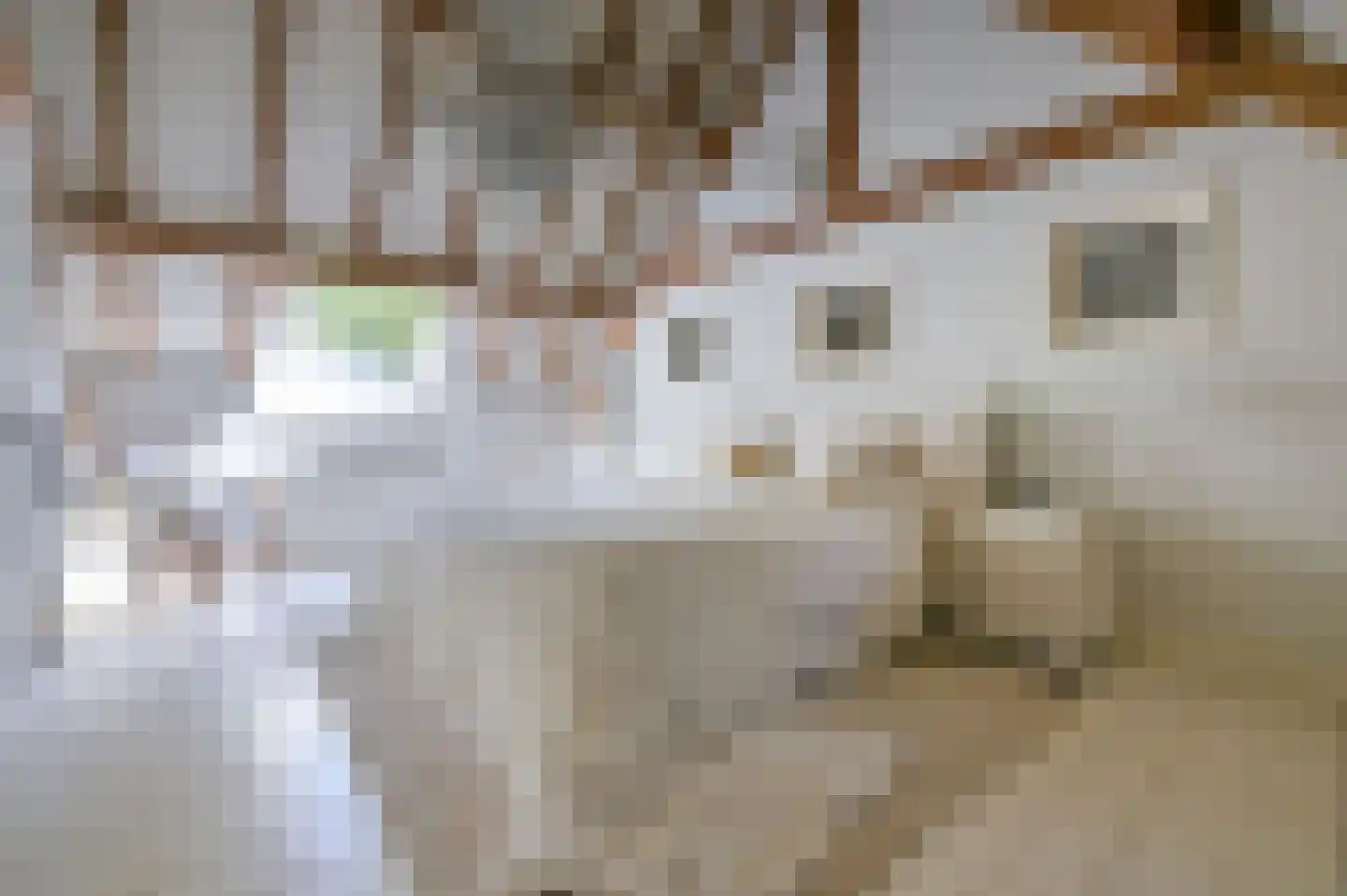 Postweg 133 Lunteren thumbnail 24