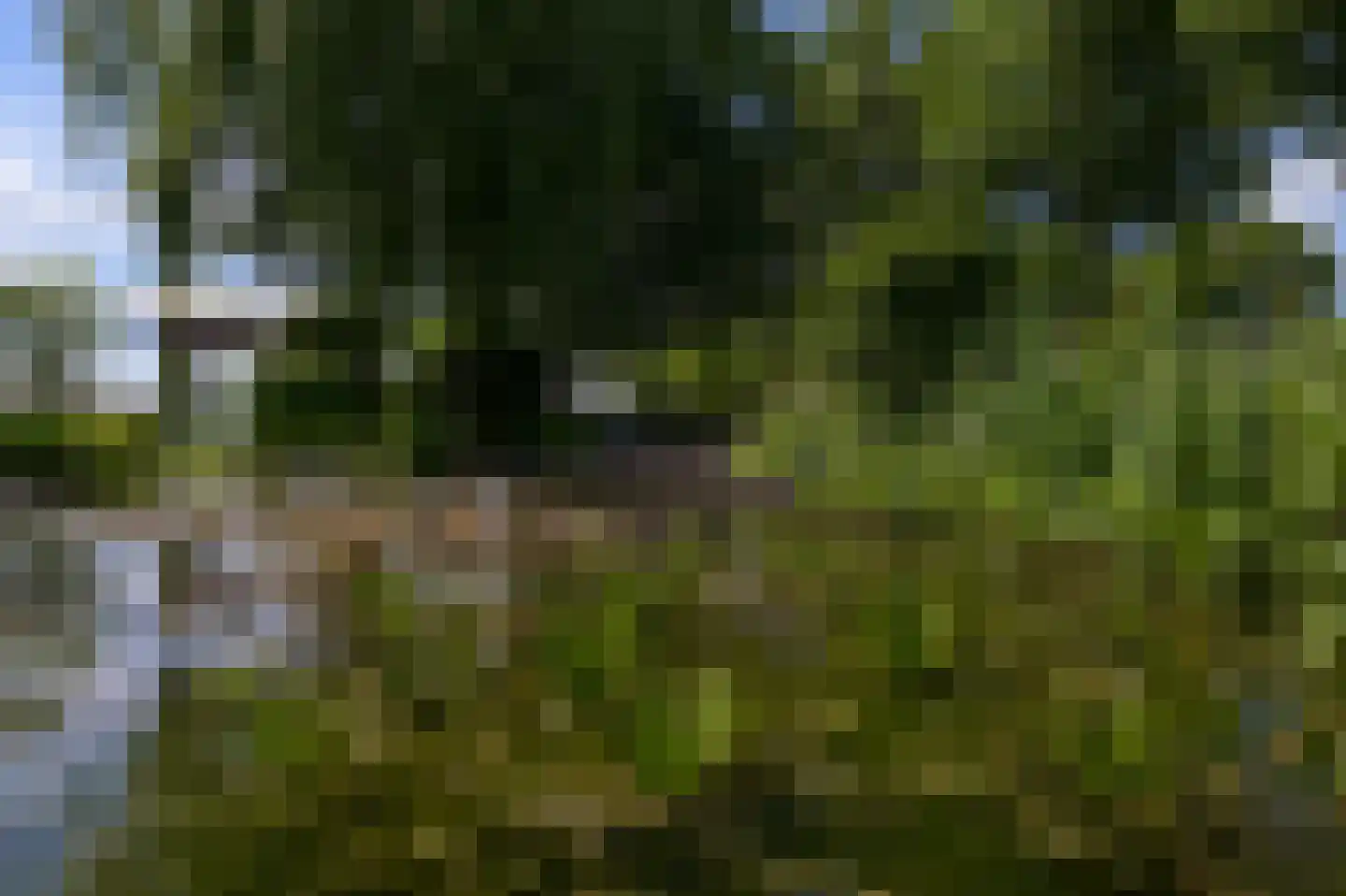 Postweg 133 Lunteren thumbnail 76