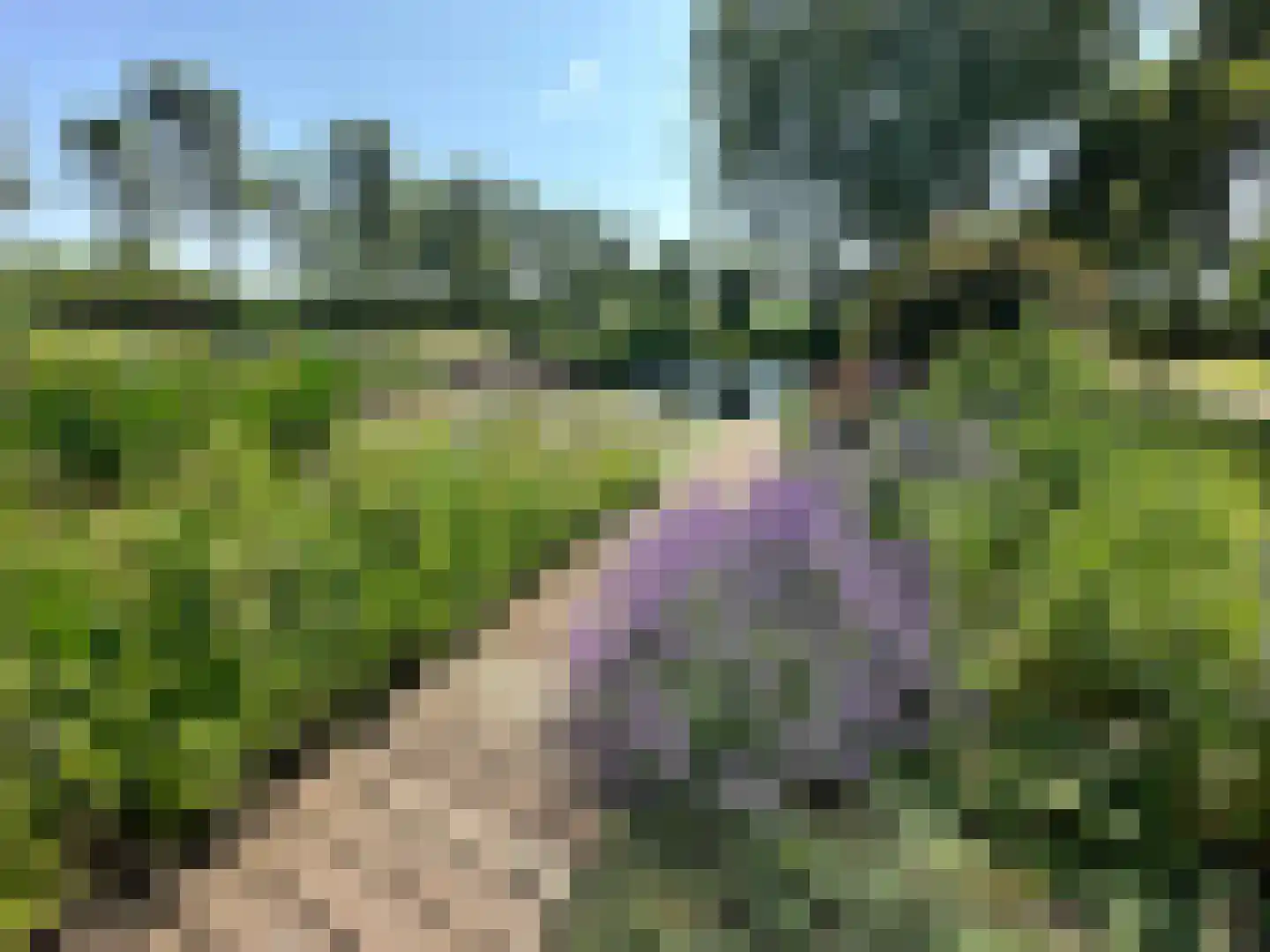 Postweg 133 Lunteren thumbnail 78