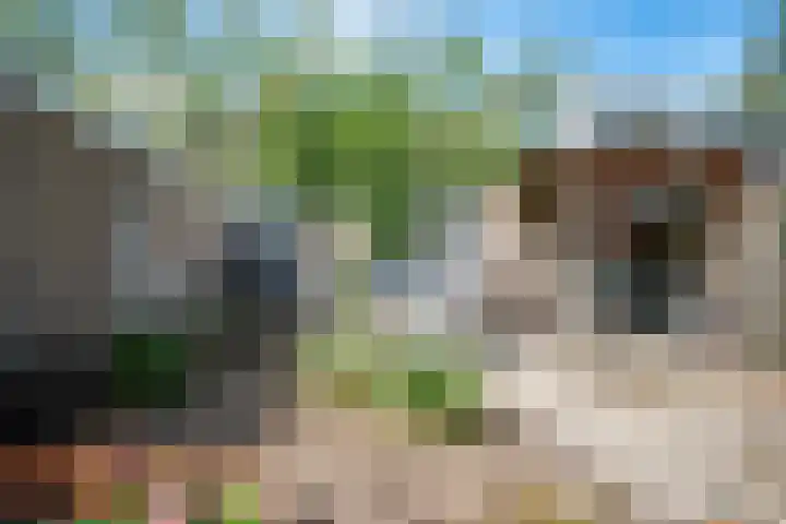 Postweg 16 de Wijk thumbnail 23