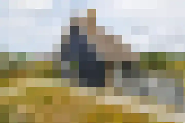 Postweg 4 Buren thumbnail 31
