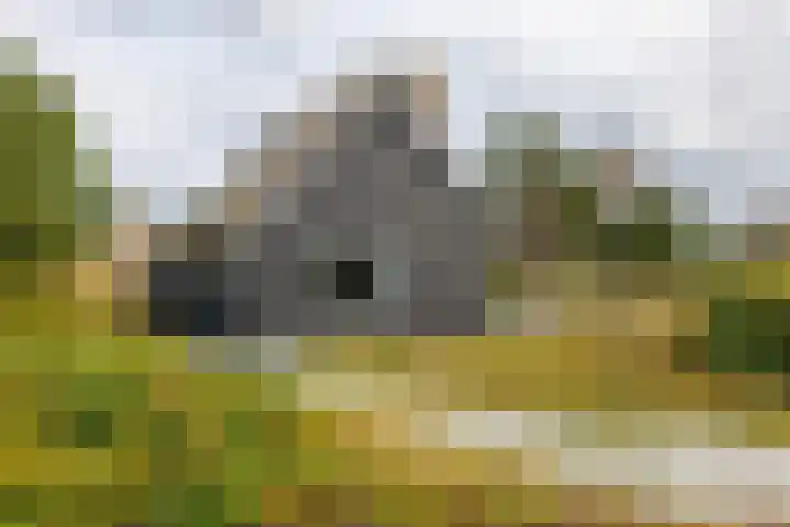 Postweg 4 Buren thumbnail 32