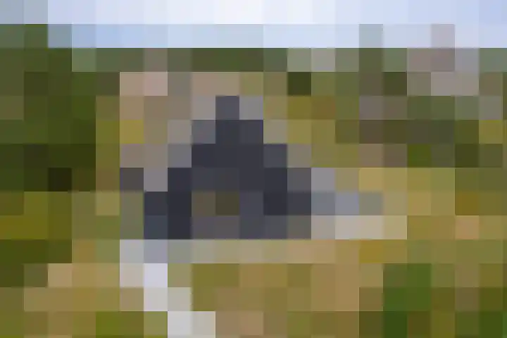 Postweg 4 Buren thumbnail 40