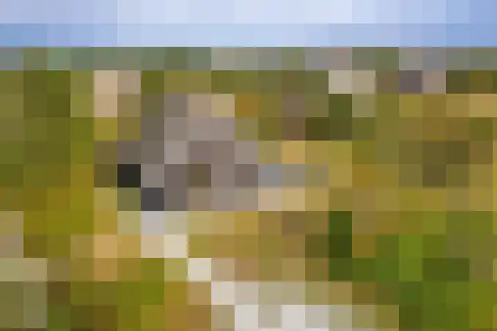 Postweg 4 Buren thumbnail 43