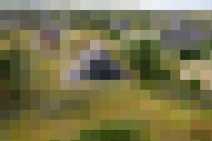 Postweg 4 Buren thumbnail 45
