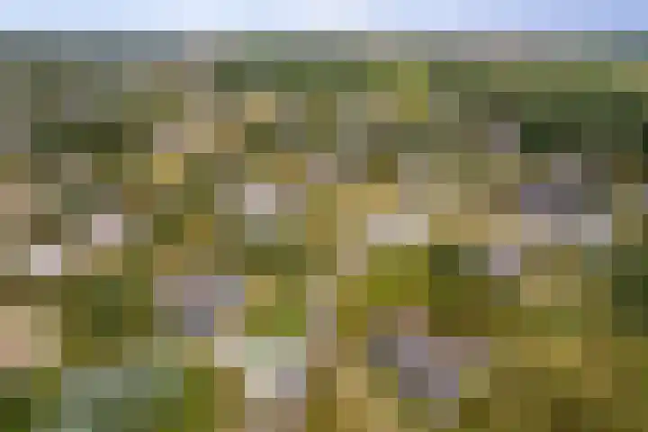 Postweg 4 Buren thumbnail 46
