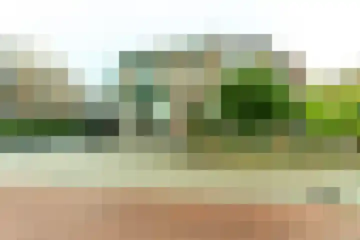 Postweg 47 Soesterberg thumbnail 16