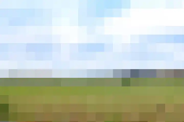 Postweg 47 Soesterberg thumbnail 22