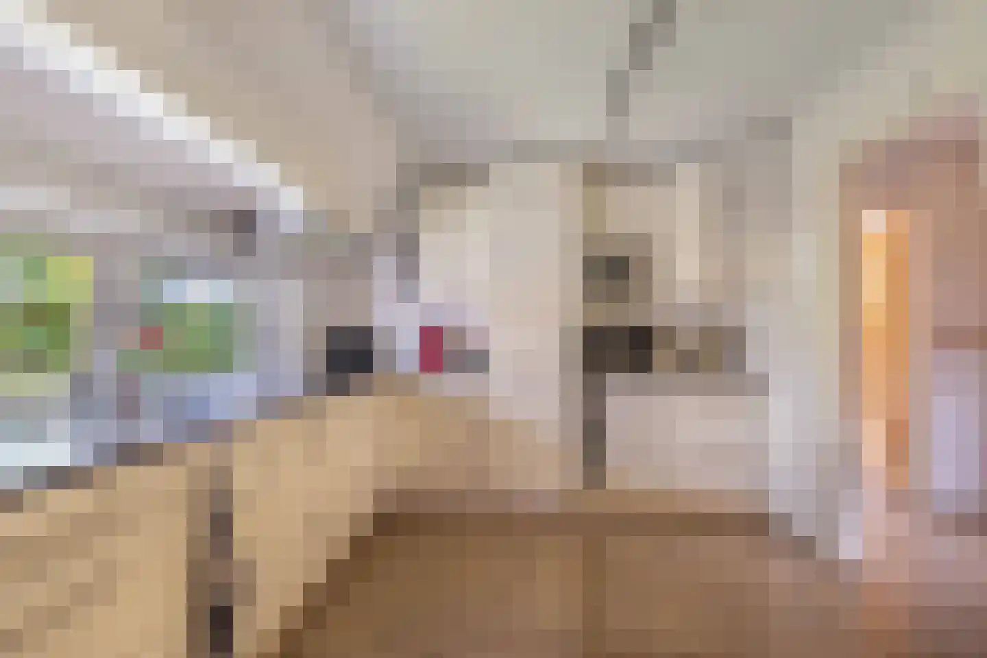 Postweg 5 Ruinen thumbnail 15