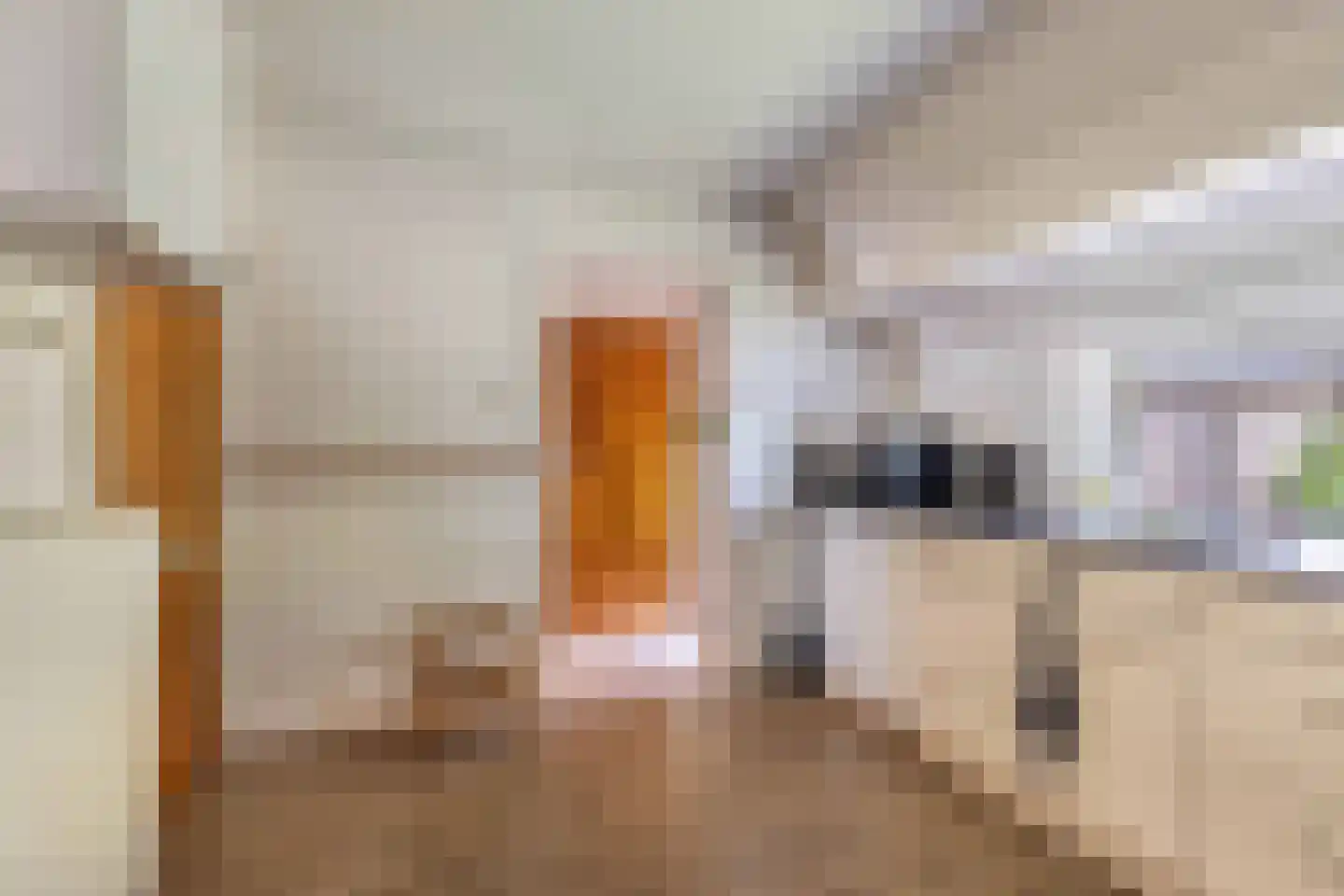 Postweg 5 Ruinen thumbnail 17