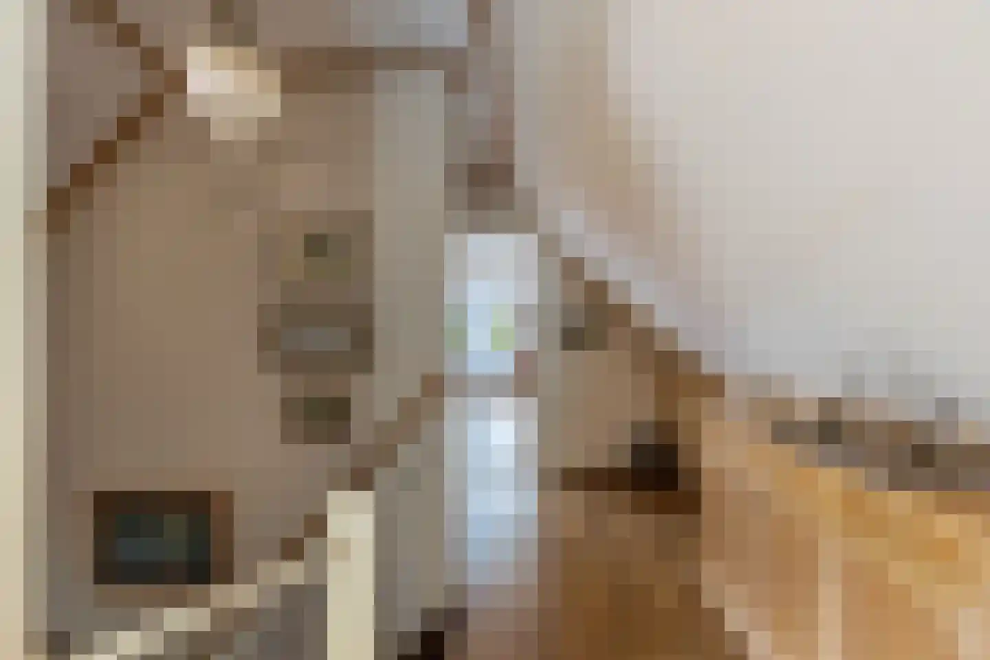 Postweg 5 Ruinen thumbnail 25