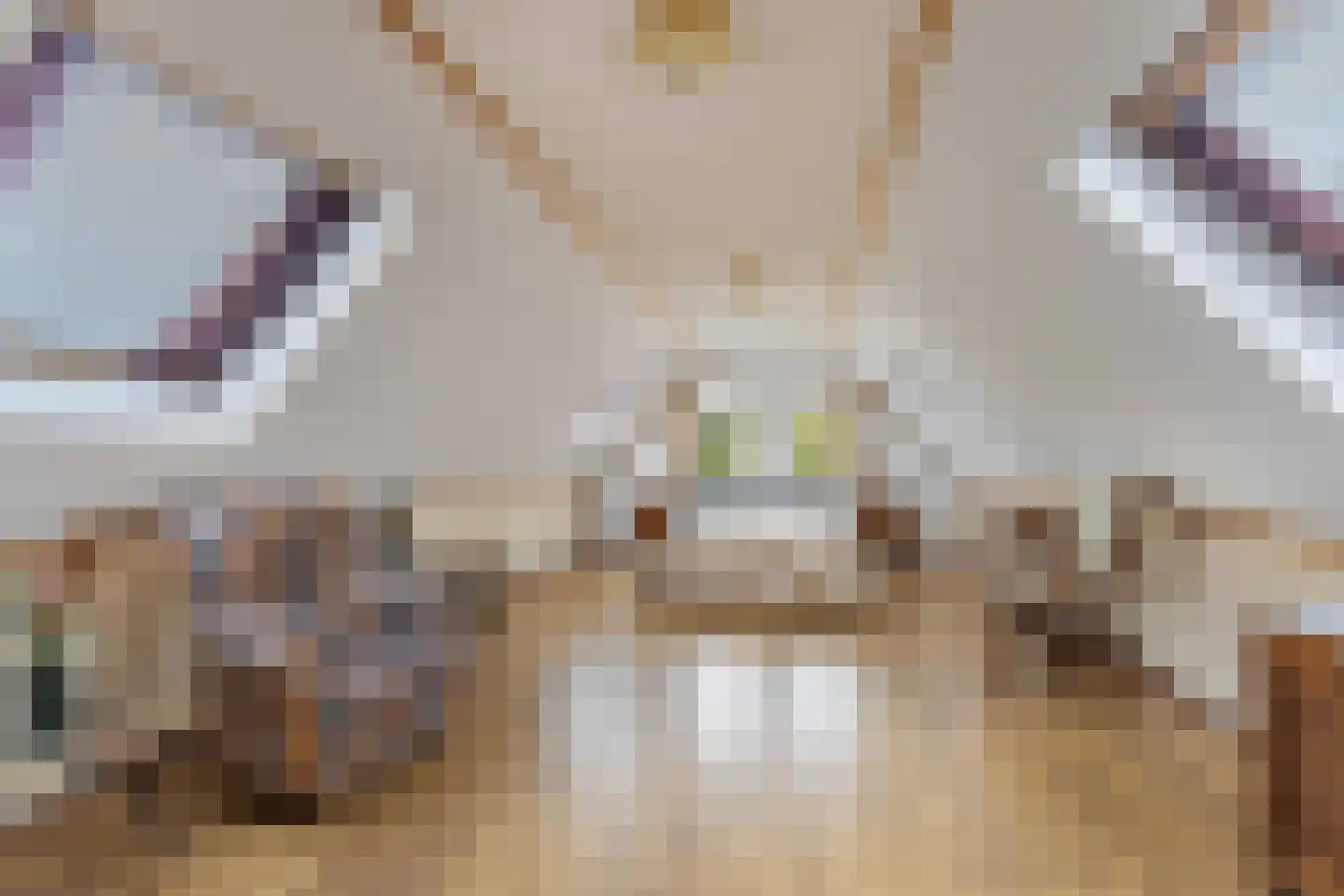 Postweg 5 Ruinen thumbnail 26