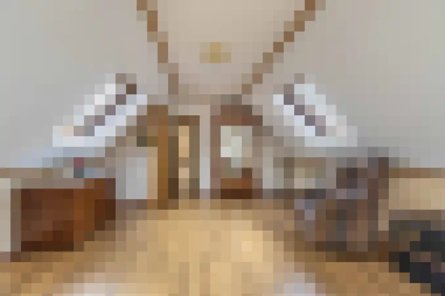 Postweg 5 Ruinen thumbnail 27