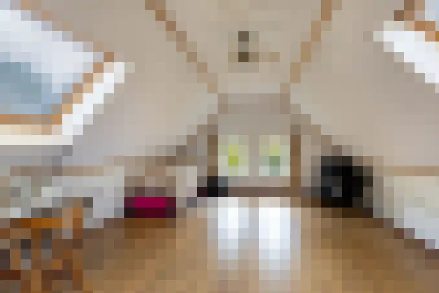 Postweg 5 Ruinen thumbnail 29