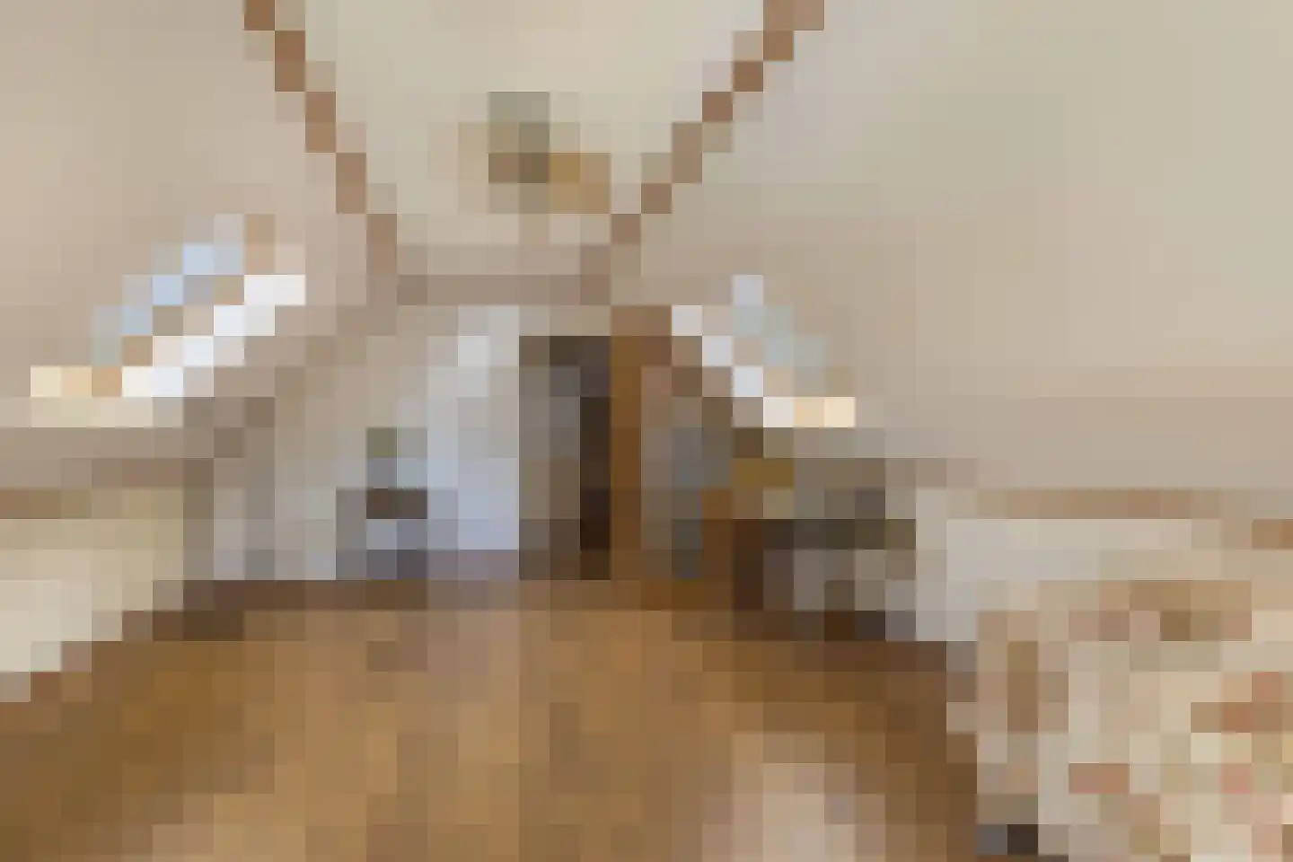 Postweg 5 Ruinen thumbnail 30