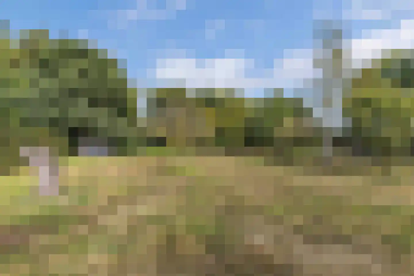 Postweg 5 Ruinen thumbnail 35