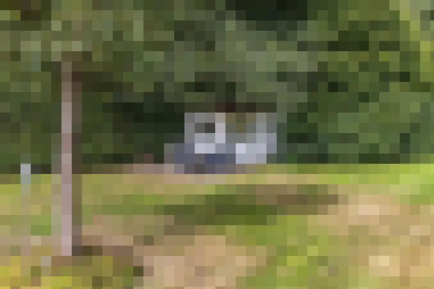 Postweg 5 Ruinen thumbnail 36