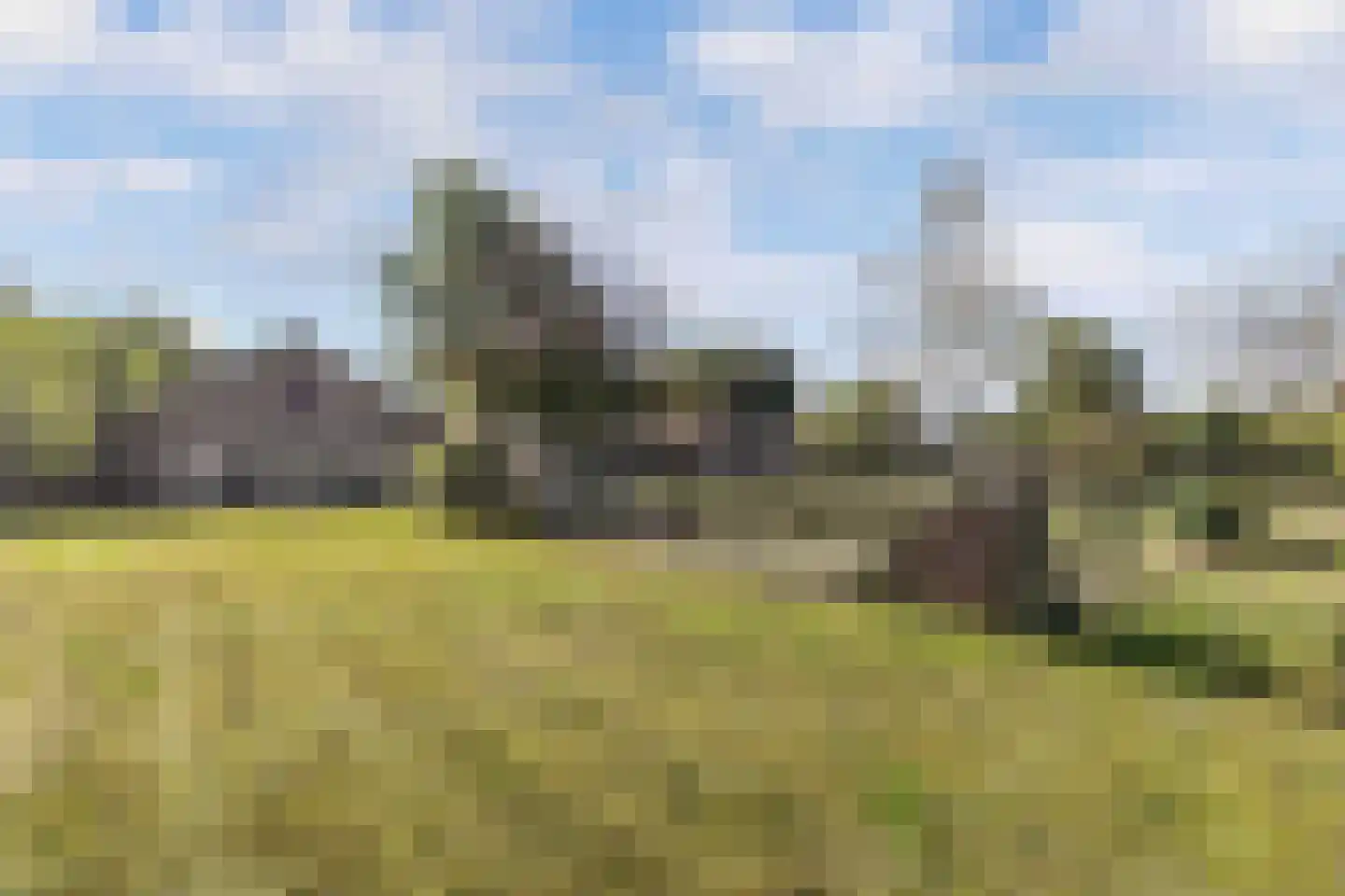 Postweg 5 Ruinen thumbnail 39
