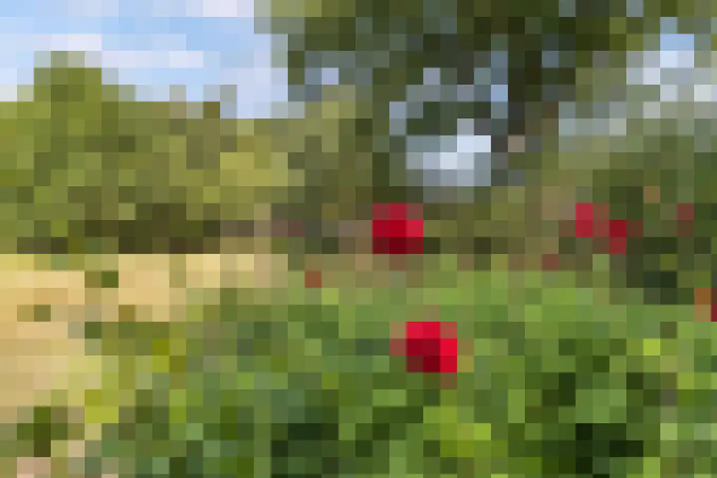 Postweg 5 Ruinen thumbnail 43