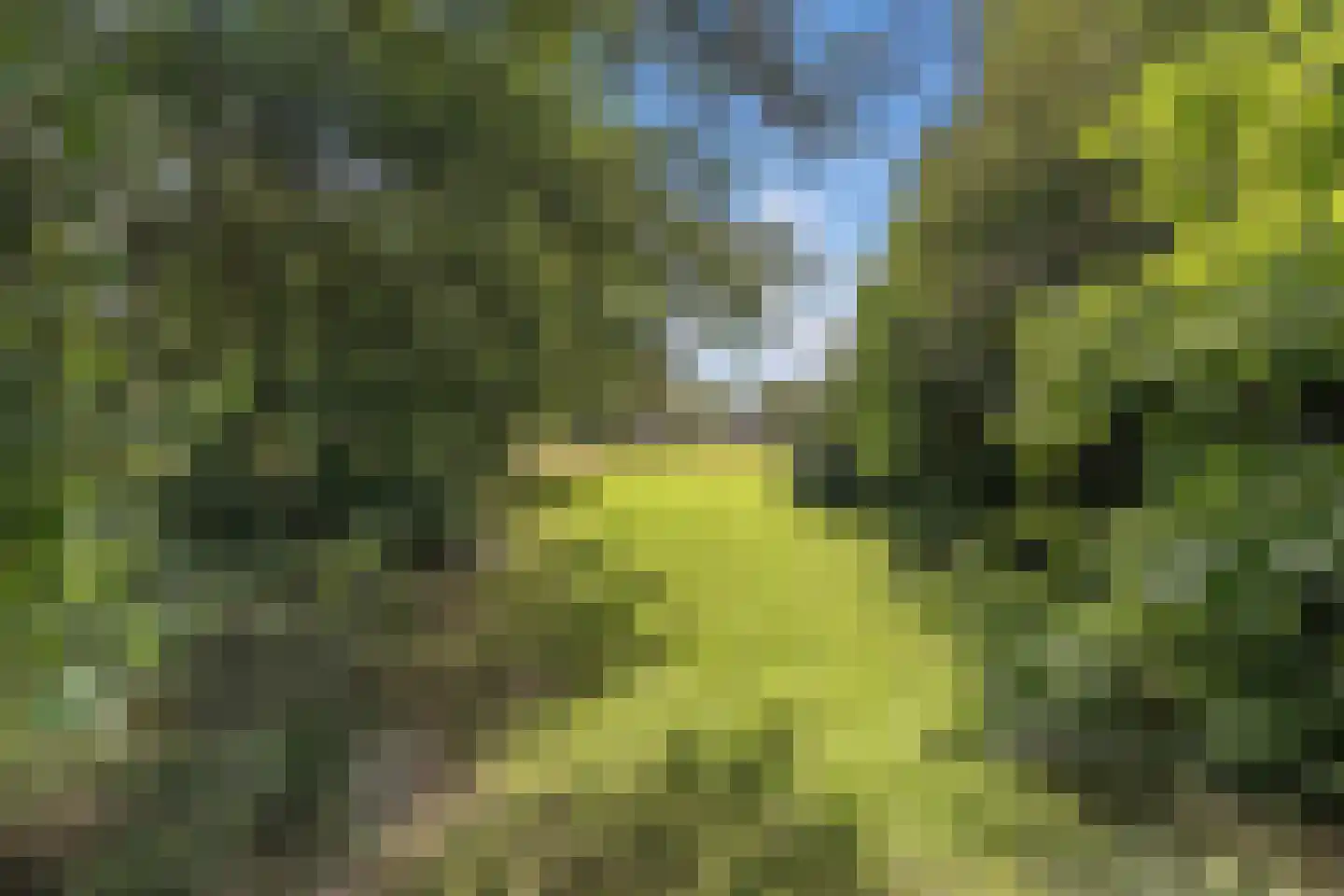 Postweg 5 Ruinen thumbnail 44