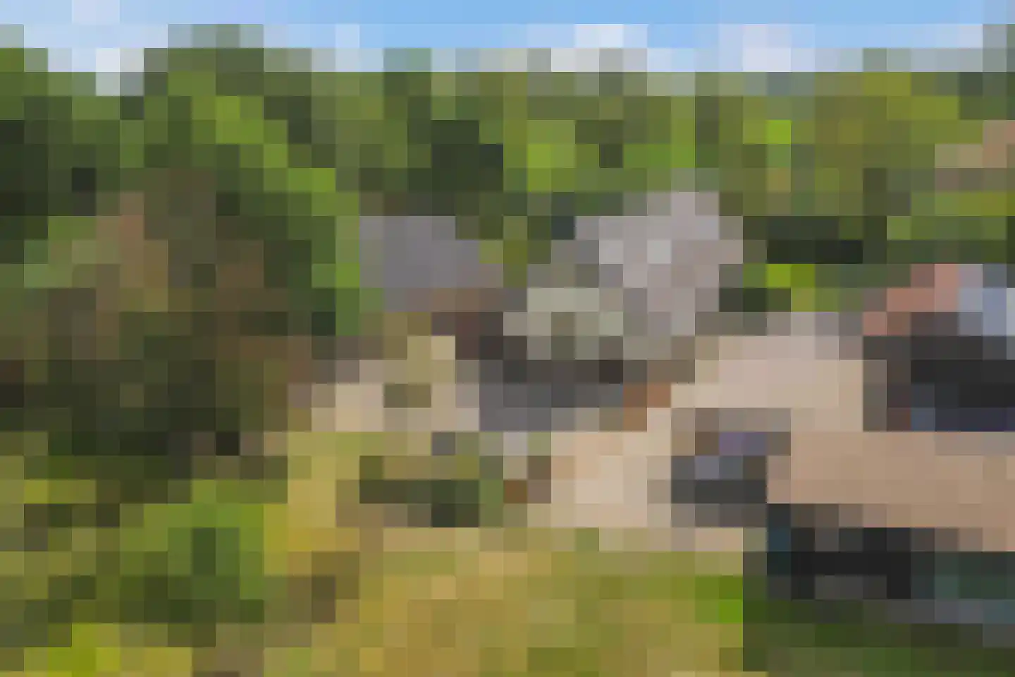 Postweg 5 Ruinen thumbnail 45