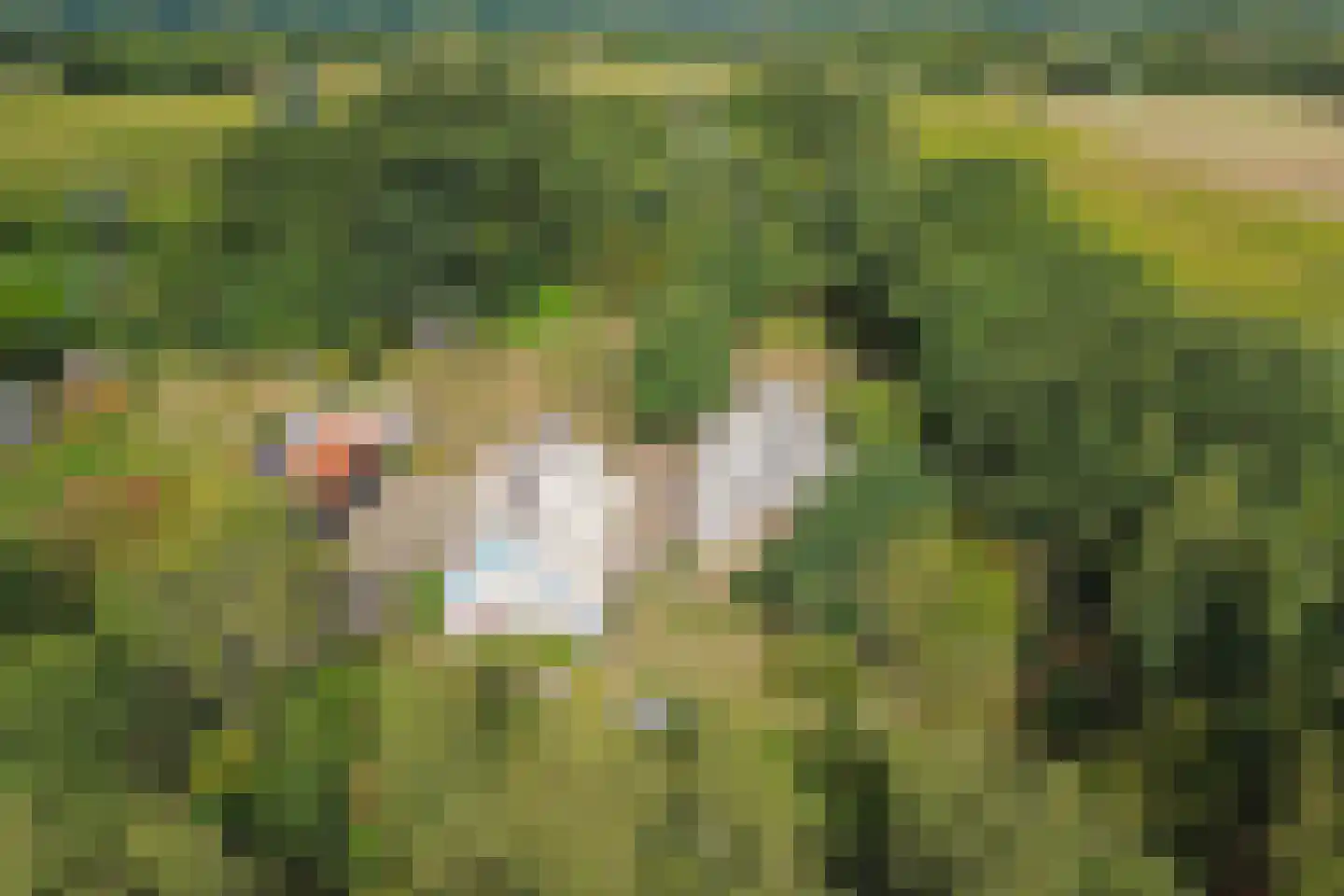 Postweg 5 Ruinen thumbnail 46