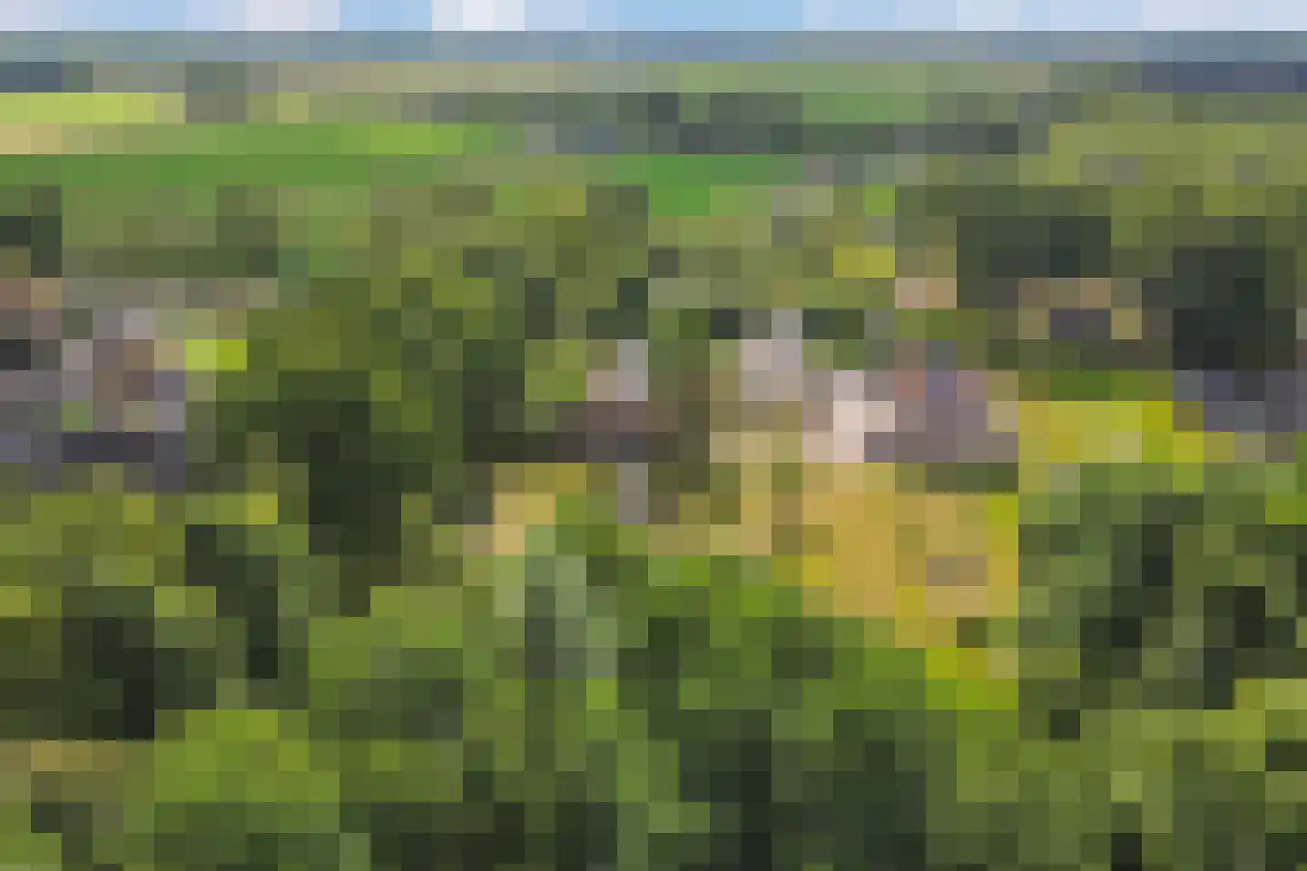 Postweg 5 Ruinen thumbnail 49