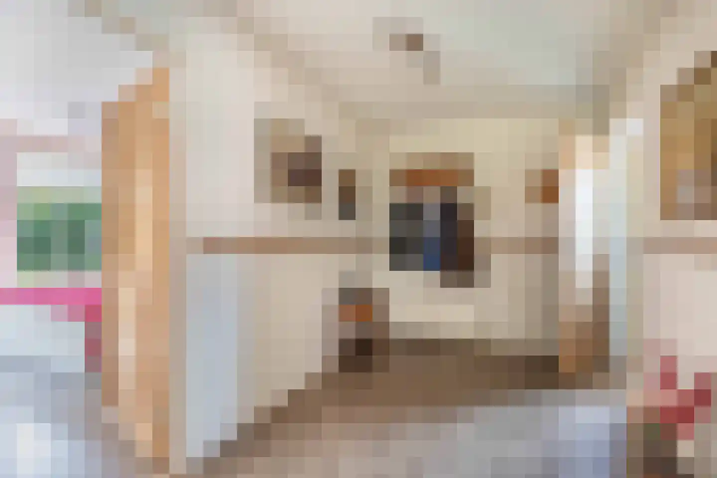 Postweg 5 Ruinen thumbnail 7