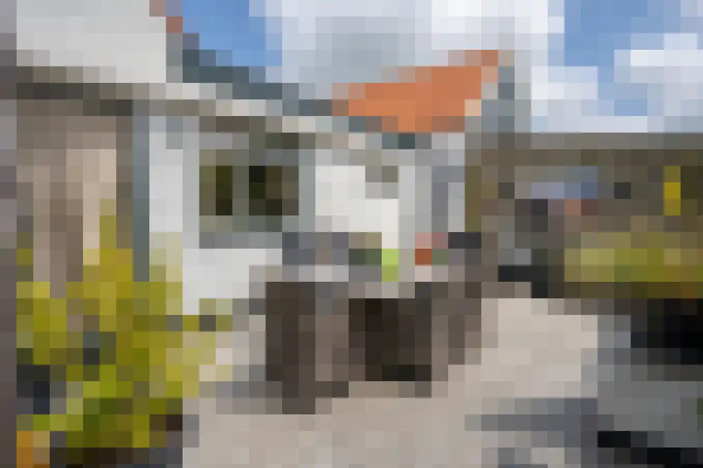 Postweg 54 De Cocksdorp thumbnail 39