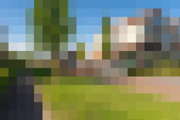 Postweide 111 Woudrichem thumbnail 25
