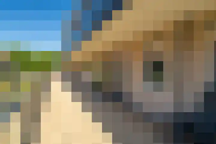 Postweide 111 Woudrichem thumbnail 4