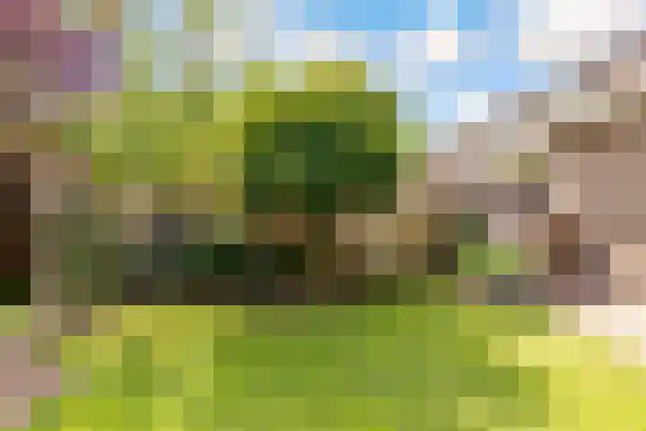 Potbeker 30 Heesch thumbnail 18