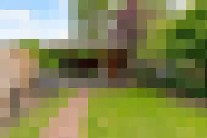 Potbeker 30 Heesch thumbnail 20
