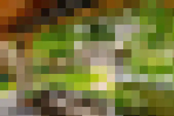 Potbeker 30 Heesch thumbnail 23
