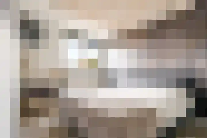 Potbeker 30 Heesch thumbnail 26