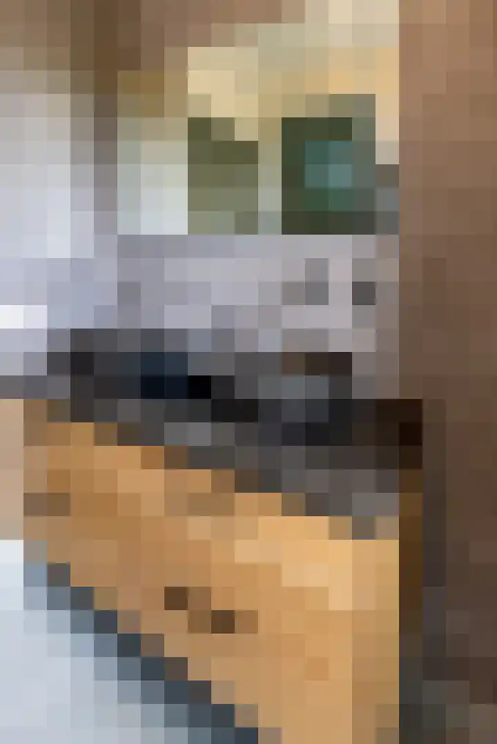 Potbeker 30 Heesch thumbnail 32