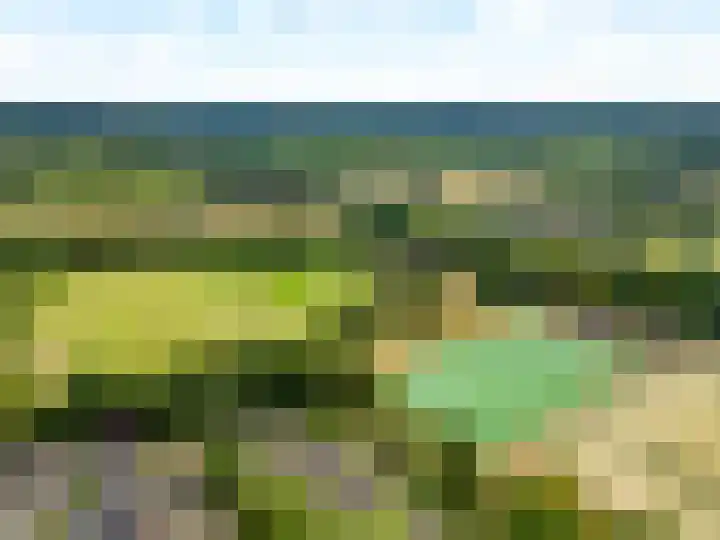 Potbeker 30 Heesch thumbnail 48