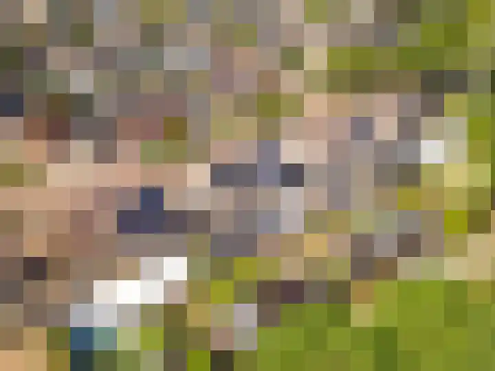 Potbeker 30 Heesch thumbnail 50