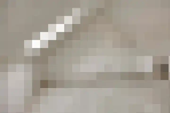 Potbeker 67 Cuijk thumbnail 23