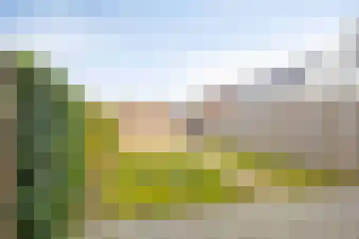 Potbeker 67 Cuijk thumbnail 24