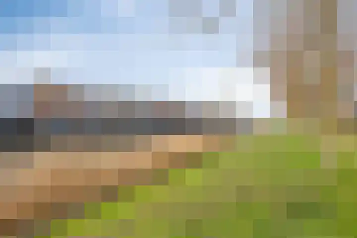 Potbeker 67 Cuijk thumbnail 32