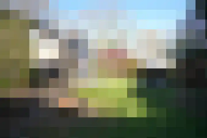 Potbeker 67 Cuijk thumbnail 7