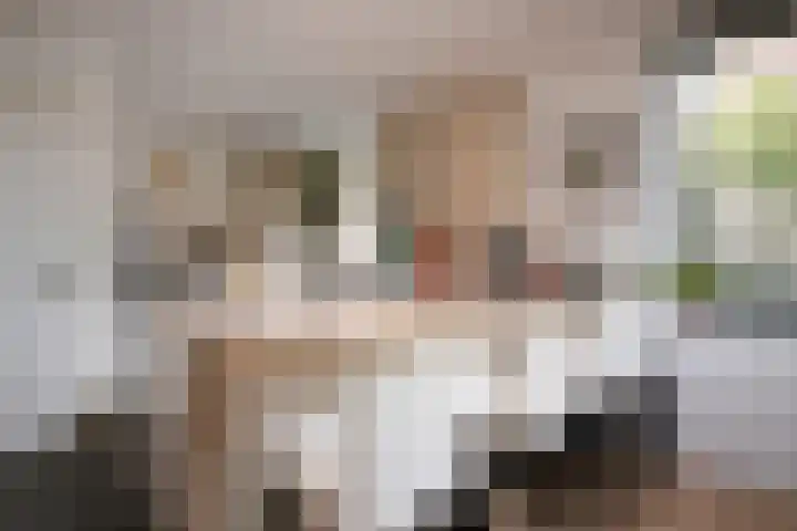 Potbeker 67 Cuijk thumbnail 8