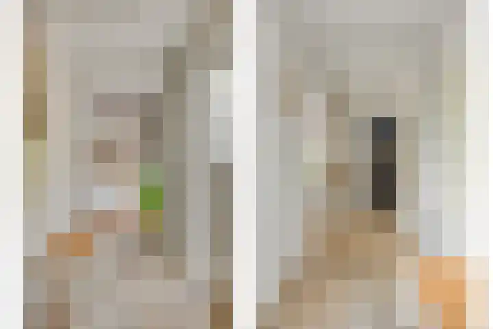 Potdijk 8 D13 Markelo thumbnail 12