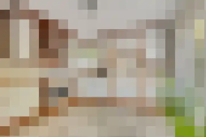Potdijk 8 D13 Markelo thumbnail 14