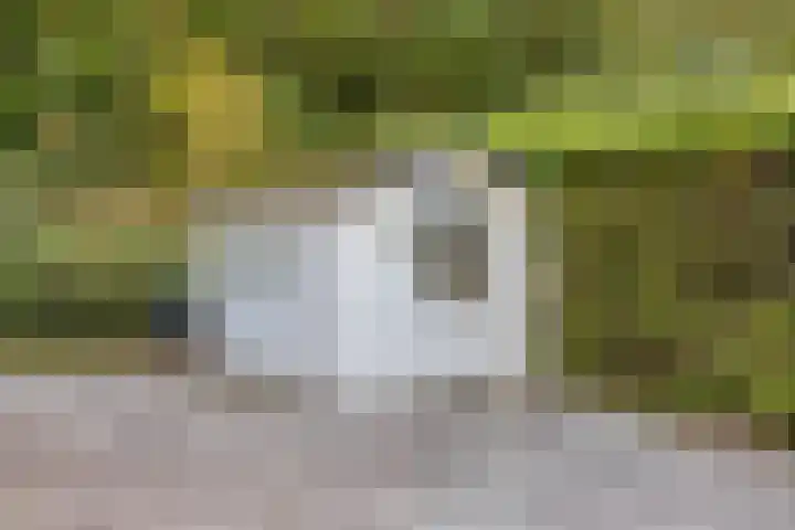 Potdijk 8 D13 Markelo thumbnail 30