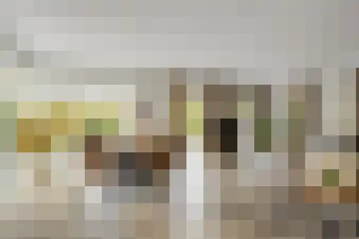 Potdijk 8 D13 Markelo thumbnail 7