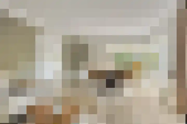Potdijk 8 D13 Markelo thumbnail 8