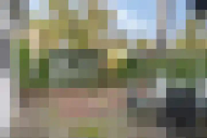 Potdijk 8 D2 Markelo thumbnail 29